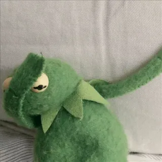 🐸 Kermit kermit, sapo, meme, dedo do meio whatsapp sticker