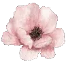 💐