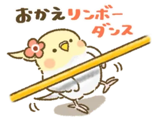🦜 おかえリンボーダンス pássaro, fofo, limbo, dança, flor telegram sticker