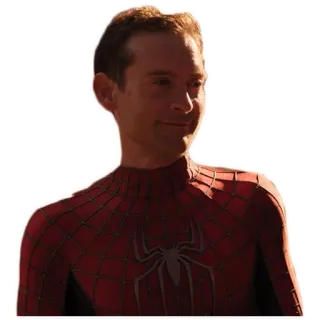 😌 Spider-Man Spider-Man, super-héros, Marvel, comics, Tobey Maguire telegram sticker