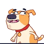 🩹 chien, dessin animé, animal, animal de compagnie, mignon, personnage telegram sticker