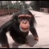 🐒