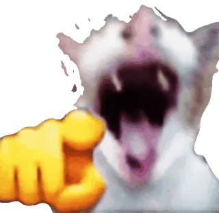 🤣 кот, указывает, мем, животное, реакция, эмодзи telegram sticker