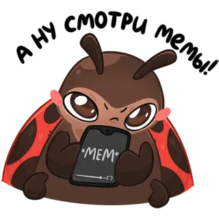 🤨 *MEM* เต่าทอง, แมลง, มีม, ขำขัน, แมลง, โทรศัพท์, อินเทอร์เน็ต whatsapp sticker