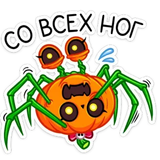 🕷 СО ВСЕХ НОГ ragno, zucca, halloween, mostro, cartone animato telegram sticker