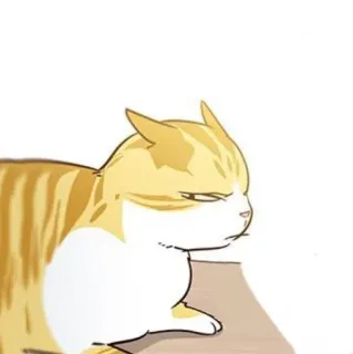 🐈 mèo, động vật, họ mèo, hoạt hình, thú cưng, dễ thương telegram sticker