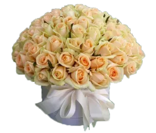 💐 цветы, розы, букет, цветочная композиция, подарок, праздник, романтика whatsapp sticker