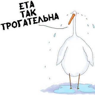 😭 ЭТА ТАК ТРОГАТЕЛЬНА 새, 두루미, 러시아, 귀여운, 동물, 스티커 telegram sticker