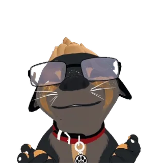 👐 loutre, avatar, lunettes, dessin animé, animal, collier whatsapp sticker