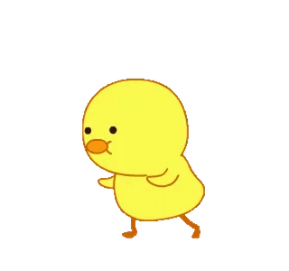 🐥 pato, animado, desenho animado, animal, fofo, amarelo telegram sticker