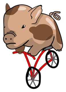 👍 cerdo, bicicleta, animal, dibujos animados, lindo, divertido, paseo whatsapp sticker