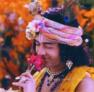 🌹 Krishna Hinduism, deity, Indian, religious, god, Radha telegram sticker