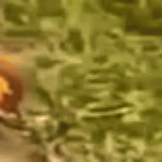 🌟 telegram sticker