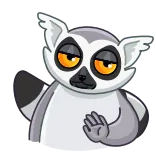 ✋ lemur, animal, cartoon, mammal, wildlife, zoo telegram sticker