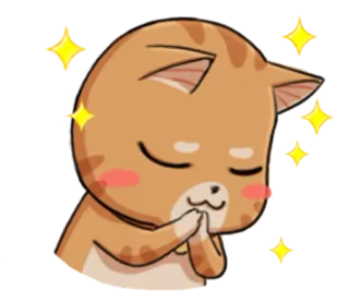 🙏 Katze, süß, Cartoon, Aufkleber, Tier telegram sticker