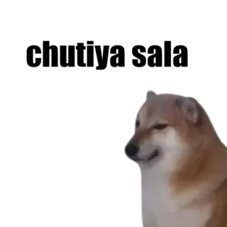 🎭 chutiya sala 불쾌한, 모욕, 밈, 도지 telegram sticker