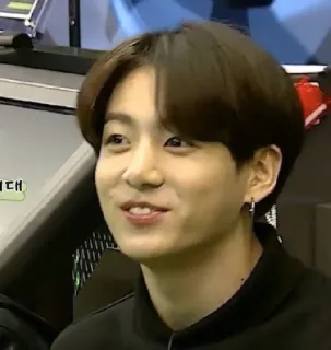🍃 Jungkook K-pop, Cantor, Ídolo, Celebridade, Retrato, Homem, Jungkook, Coreano telegram sticker