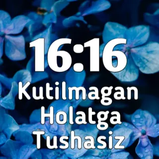 🔐 16:16
Kutilmagan Holatga Tushasiz blaue Blumen, Zeit, unerwartete Situation whatsapp sticker