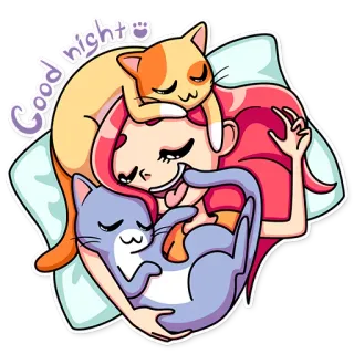 😴 Good night menina, gato, boa noite, dormir, fofo telegram sticker