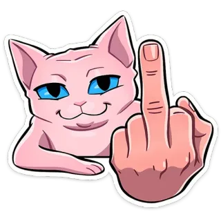 🖕 cat, middle finger, offensive gesture, animal, pink, cartoon telegram sticker