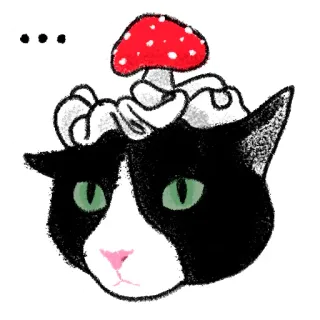 Кошка Кошка telegram stickers