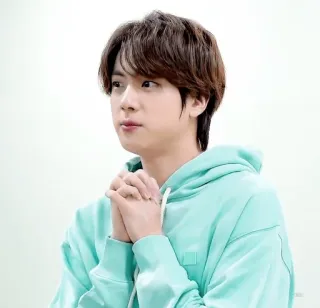 🥺 Jin kpop, musique, chanteur, idole, célébrité, homme, coréen telegram sticker