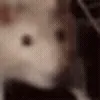 💃