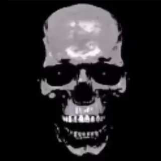 ☠️ crâne, squelette, horreur, mort, halloween, effrayant whatsapp sticker