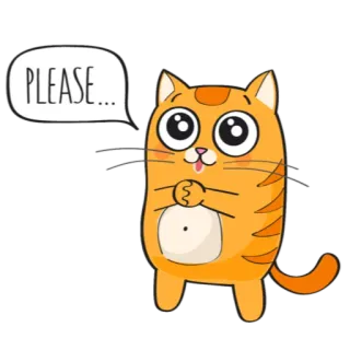 🙏 PLEASE.... Katze, bittend, süß, betteln, Tier, Aufkleber telegram sticker