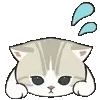 🐱