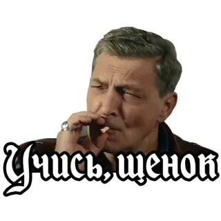 🤪 Учись, щенок мужчина, курение, сигарета, русский, текст telegram sticker