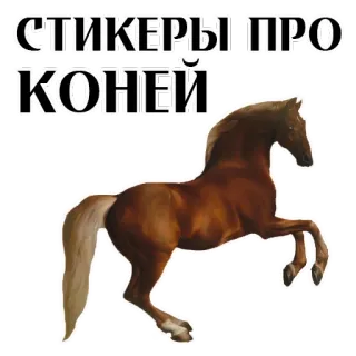 Stickers With Horses @stickersb2b telegram stickers