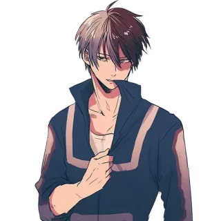 😏 Shoto Todoroki My Hero Academia Anime, My Hero Academia, Todoroki, Shoto Todoroki, Karakter, Pahlawan whatsapp sticker