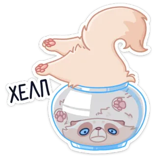 🆘 ХЕП! gato, pote de vidro, animal, fofo, desenho animado, adesivo telegram sticker