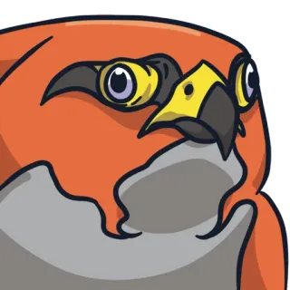 😧 burung, hewan, elang, kartun telegram sticker