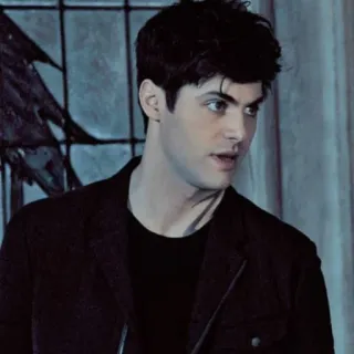 📚 Matthew Daddario Shadowhunters actor, Matthew Daddario, Shadowhunters, Alec Lightwood, male, portrait telegram sticker