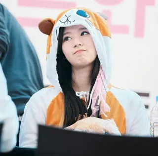 🐹 femme, mignon, sweat à capuche, animal, coréen, asiatique telegram sticker