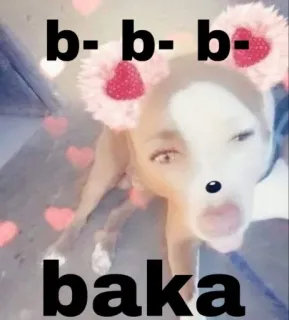 🙈 b-b-b-baka cachorro, fofo, baka, animal, engraçado, corações whatsapp sticker