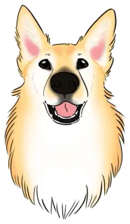 😀 anjing, corgi, hewan, peliharaan, imut, anak anjing, hewan peliharaan telegram sticker