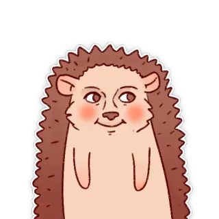 🌚 ouriço, fofo, animal, adesivo, desenho animado telegram sticker