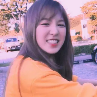 🐚 Wendy kpop, red velvet, idol, chanteur, sourire, portrait whatsapp sticker