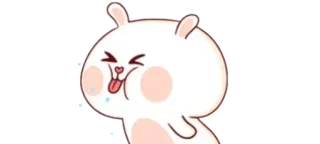 ✨ coniglio, carino, adesivo, cartone animato, animale whatsapp sticker