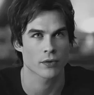 ▪️ Damon Salvatore The Vampire Diaries wampir, Salvatore, Damon, serial TV, Pamiętniki wampirów, Ian Somerhalder, portret telegram sticker