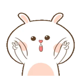 ✌ Hase, Kaninchen, niedlich, Aufkleber, Cartoon, Tier telegram sticker