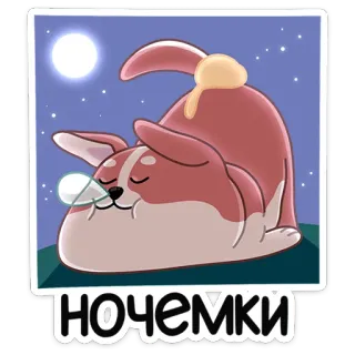 🌃 ночемки หมา, กลางคืน, นอน, พระจันทร์, น่ารัก, สัตว์ telegram sticker