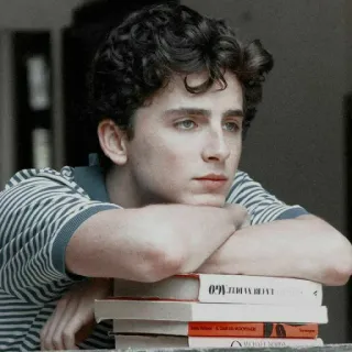 🦇 Timothée Chalamet actor, persona, retrato, famoso telegram sticker