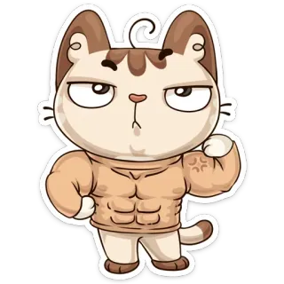 💪 kucing, otot, hewan, kartun, karakter, hewan peliharaan, imut telegram sticker