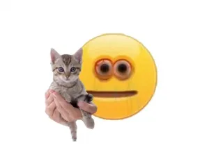 🐱 gatto, gattino, emoji, mano telegram sticker