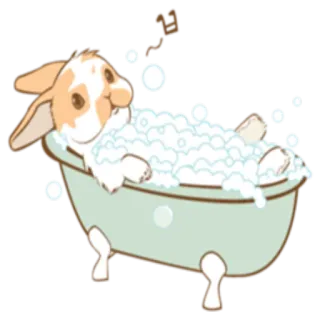 🛁 kelinci, mandi, gelembung, imut, binatang, kartun, animasi whatsapp sticker