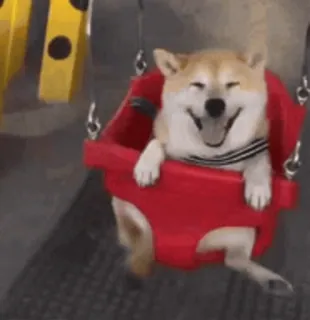 🐕 Hund, Shiba Inu, Schaukel, glücklich, Tier telegram sticker